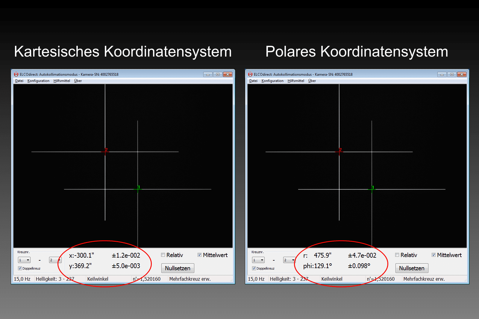 Kartesische oder Polarkoordinaten